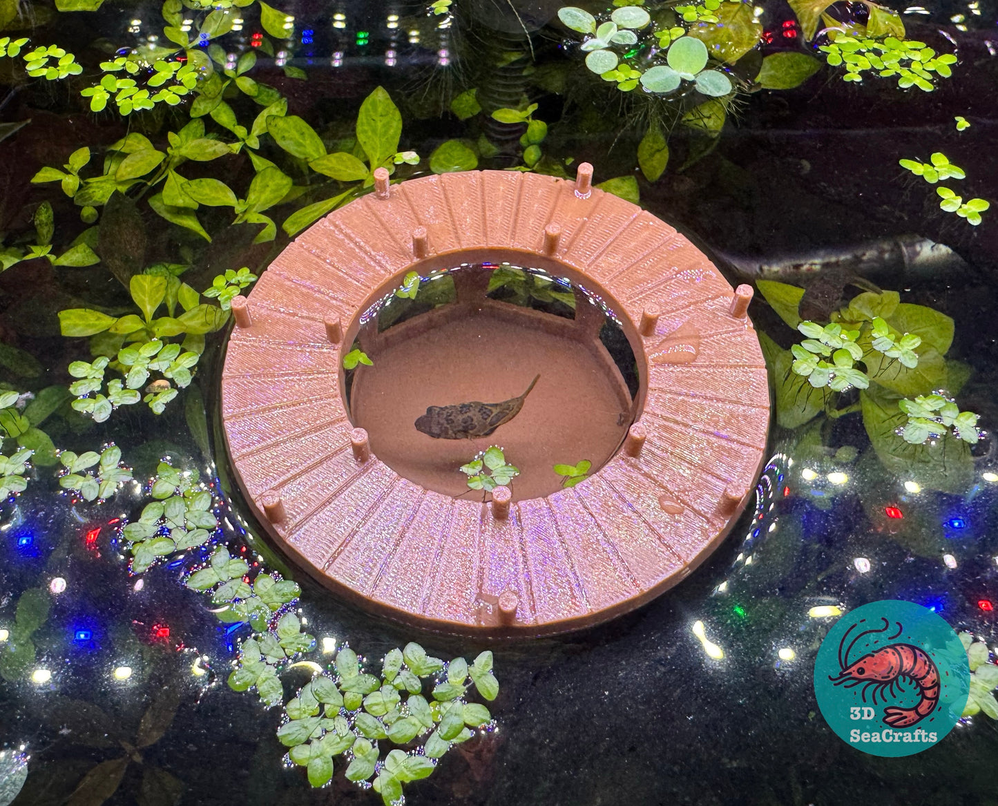Gazebo Dock Shrimp Feeder