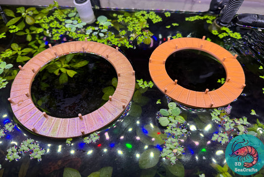 Circle Dock/Pier Feeding Ring