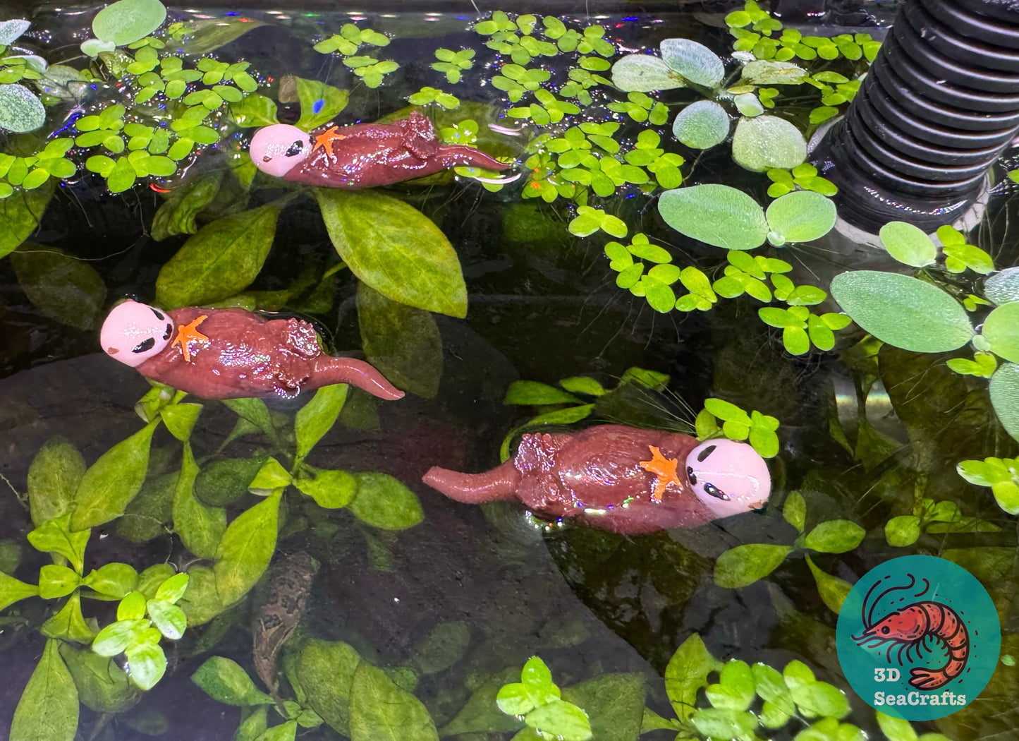 Floating Sea Otter Decor