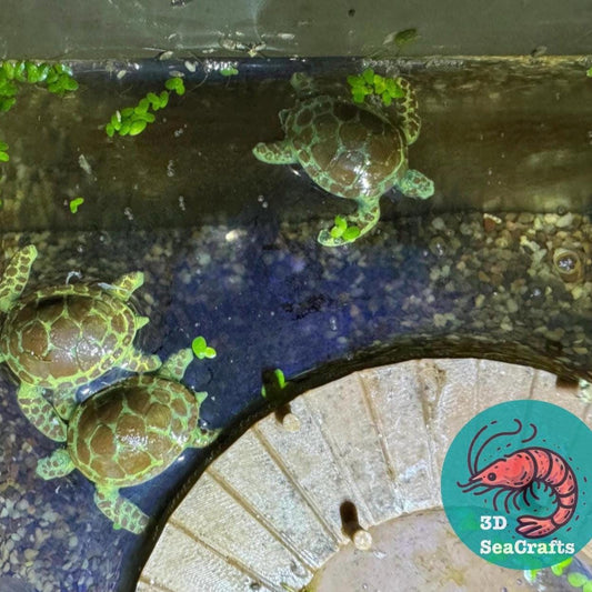 Floating Sea Turtle Decor