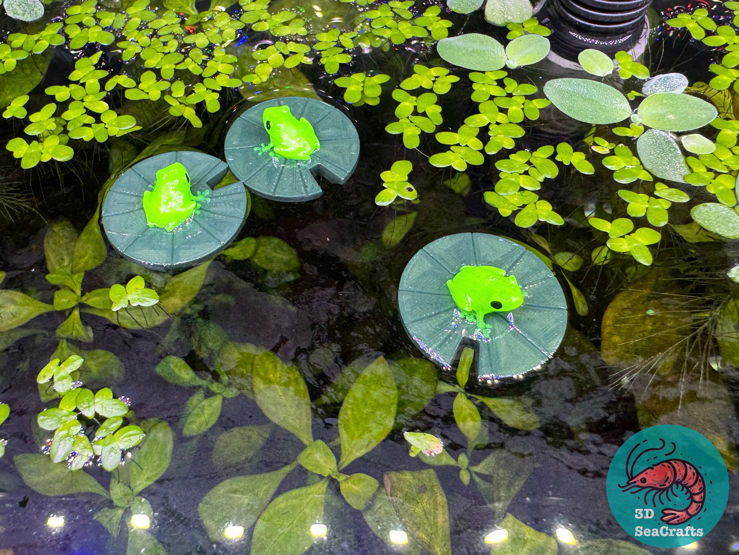 Floating Lilypad and Frog Floating Decor