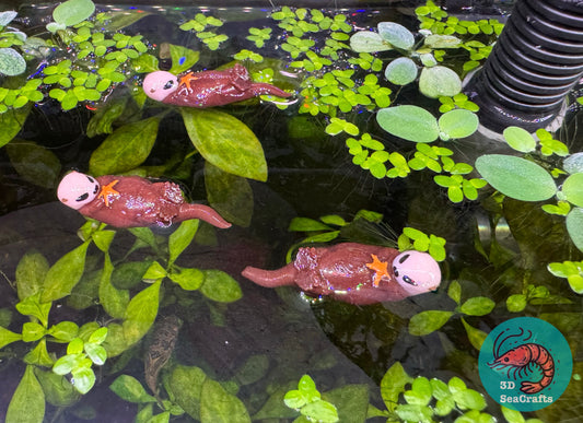 Floating Sea Otter Decor