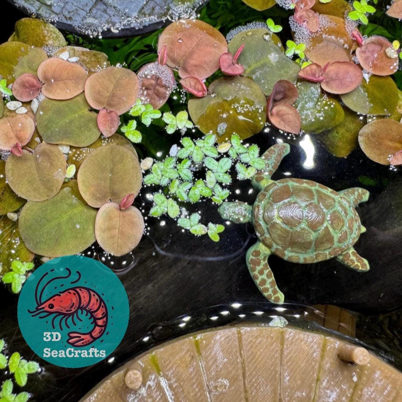 Floating Sea Turtle Decor